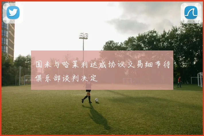 国米与哈莱利达成协议交易细节待俱乐部谈判决定