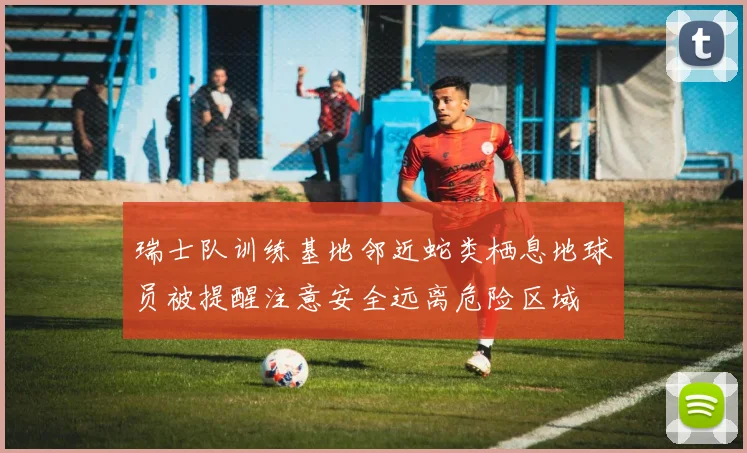 瑞士队训练基地邻近蛇类栖息地球员被提醒注意安全远离危险区域