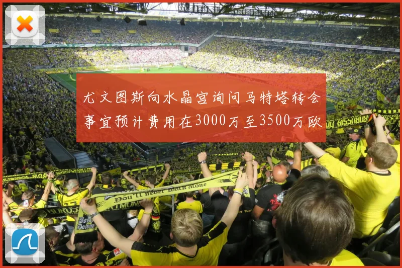 尤文图斯向水晶宫询问马特塔转会事宜预计费用在3000万至3500万欧元之间